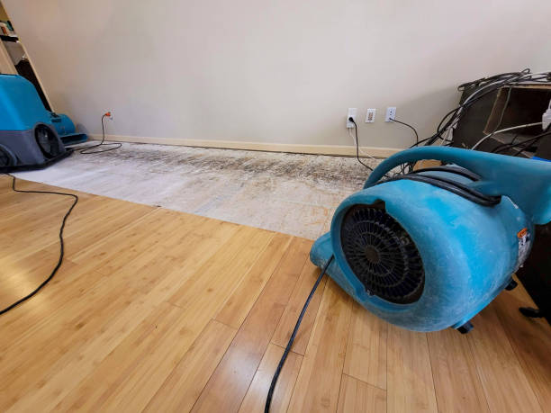Professional Burst Pipe Water Damage technician working in Flushing, OH